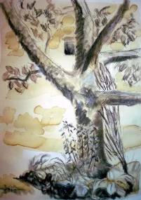 altenritte - unter dem kirschbaum, 2014, kohle und kaffee auf papier, 21x14 cm